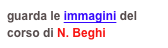 guarda le immagini del corso di N. Beghi